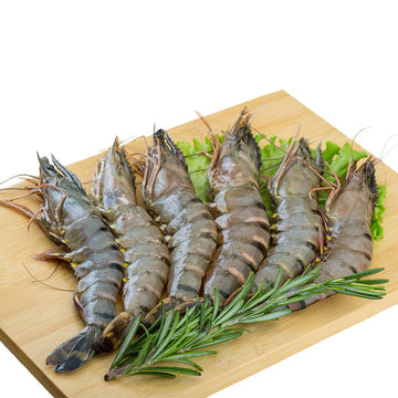 HOSO Tiger Prawn 16/20 (1 KG)